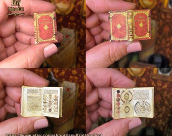 Livre astrologique, reproduction d'un texte médiéval authentique, signes du zodiaque, bibliothèque de maison de poupée, miniature à l'échelle 1:12 (numérique)