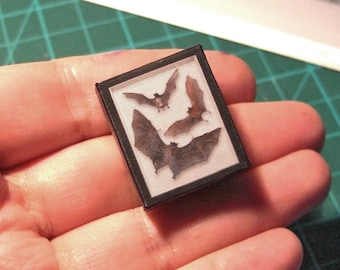 Three bats  victorian specimen case, Fake taxidermy,  Oddities  and Curiosities victorian cabinet, Digital download , Scale 1:12 Tutorial