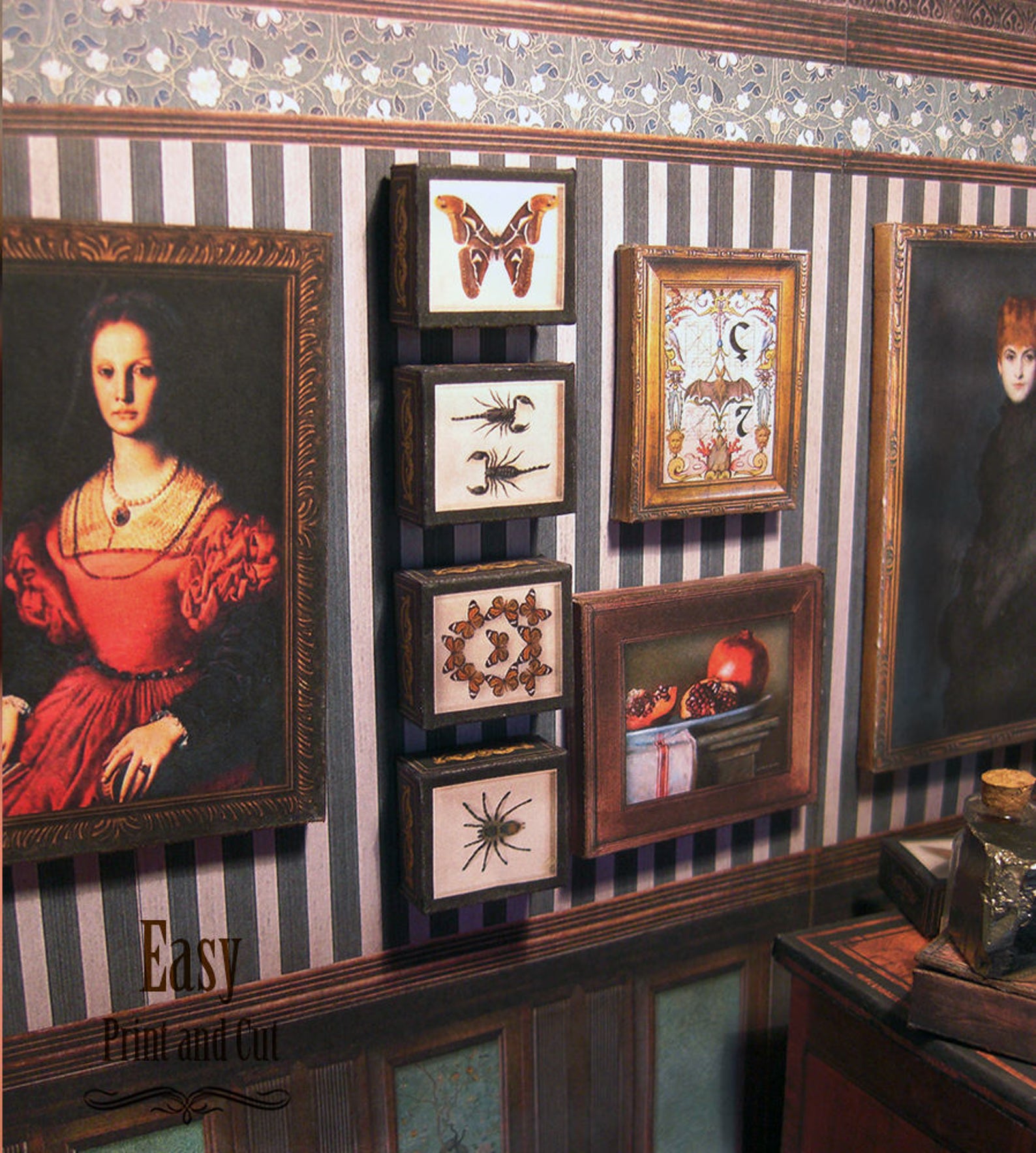 Miniature Specimen Cases Boxes Set . Giant Butterfly and Etsy