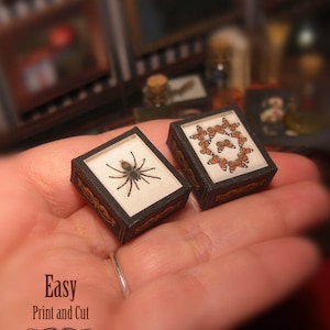May include: Two miniature display cases, one with a brown spider and the other with a collection of orange butterflies. The cases are made of black cardstock with gold accents and have a glass-like appearance.