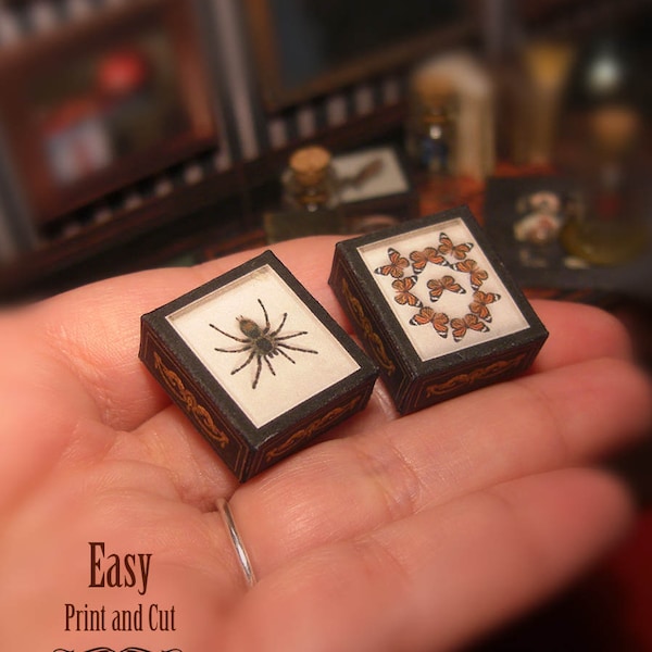 Miniature SHADOW BOX Set . Tarantula and Monarch butterfly . Dollhouse Miniature for 1:12 scale . Shadow box . DOWNLOAD . fake taxidermy.