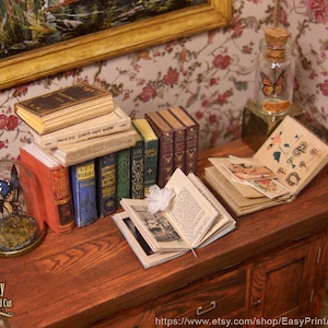 Pu&ograve; includere: Una scena di casa delle bambole in miniatura con un tavolo di legno, una pila di libri in miniatura, un barattolo di vetro con una farfalla e alcuni libri aperti. I libri hanno titoli come "Princess Mary's Gift Book" e "The Complete Book of the Bee".
