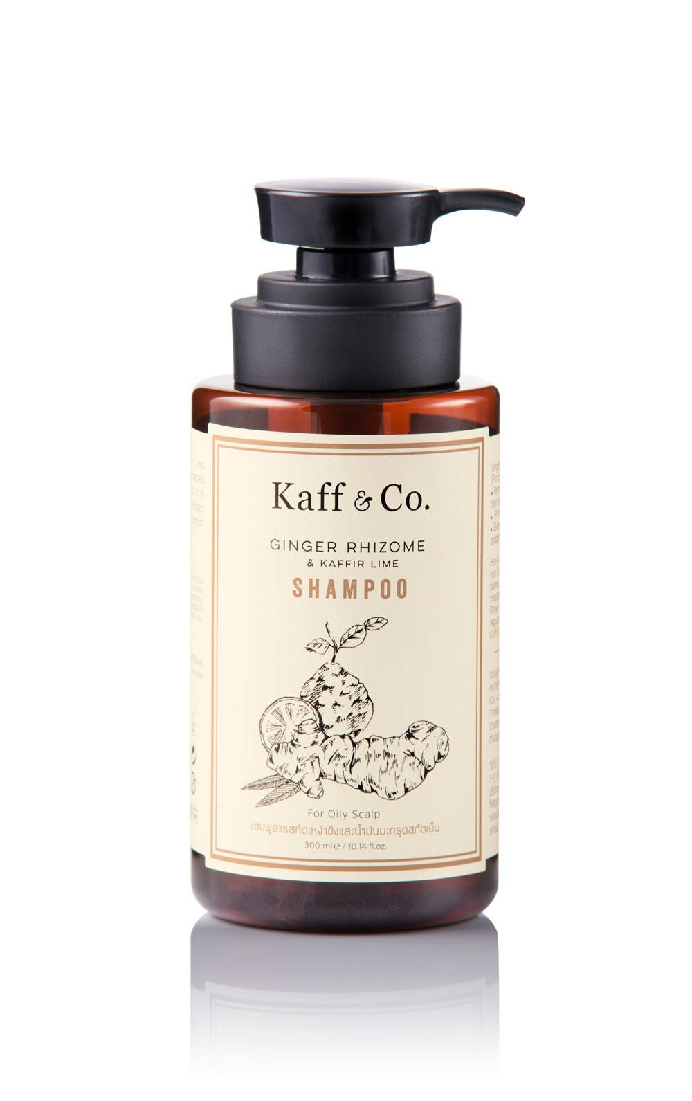 Ginger Rhizome Kaffir Lime Shampoo For Oily Scalp Or Hair Etsy