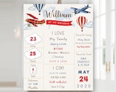 Vintage Red Airplane Milestone Poster, Airplane Birthday Milestones Sign, First Birthday Poster, Chalkboard Sign, First Birthday Poster Il_170x135