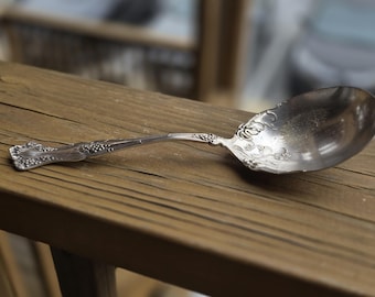 Vintage 1847 Roger's Bros Grape XS Triple Plated Silver Dessert Serving Spoon