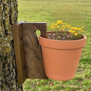 May include: A wooden plant hanger attached to a tree trunk, holding a terracotta pot with yellow flowers and pink flowers.