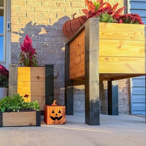 May include: Wooden planters in various sizes, some with black accents, are filled with plants and flowers. Two small, carved wooden jack-o'-lanterns sit on the ground. A large, raised planter is filled with red and green foliage.