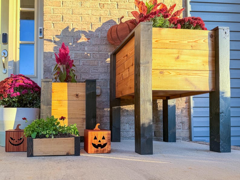 May include: Wooden planters in various sizes, some with black accents, are filled with plants and flowers. Two small, carved wooden jack-o'-lanterns sit on the ground. A large, raised planter is filled with red and green foliage.