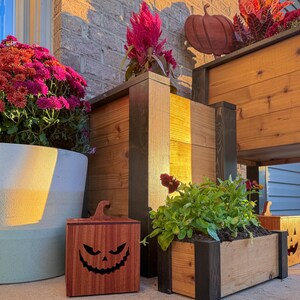 May include: A display of wooden planters and a carved wooden jack-o'-lantern. The planters are filled with colorful flowers and plants. The jack-o'-lantern has a carved face. The scene is set outdoors, with sunlight illuminating the scene.