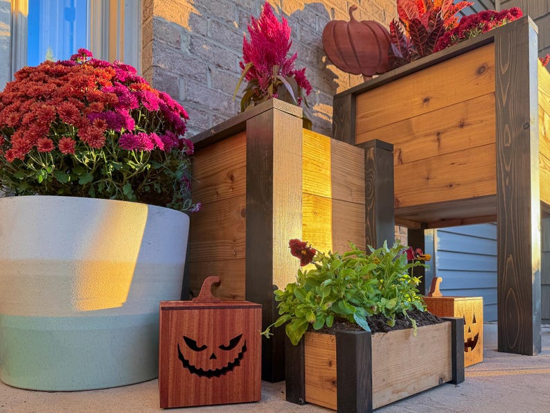 May include: A display of wooden planters and a carved wooden jack-o'-lantern. The planters are filled with colorful flowers and plants. The jack-o'-lantern has a carved face. The scene is set outdoors, with sunlight illuminating the scene.