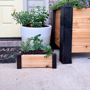 May include: A small wooden planter box with dark stained corners, filled with herbs, sits in front of a white ceramic pot and a larger wooden planter. The larger planter has black stained supports and holds purple flowers. The planters are on a concrete surface.