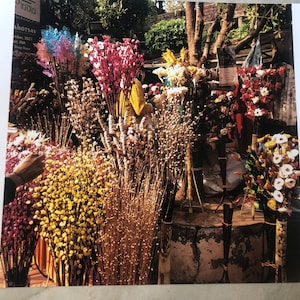 Puede incluir: Un puesto de mercado muestra una variedad de flores secas en diferentes colores, incluyendo rosa, amarillo, blanco y marrón. Las flores están dispuestas en manojos y atadas con cuerda.