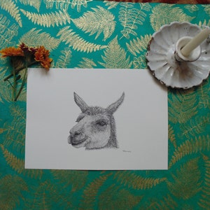 Llama print