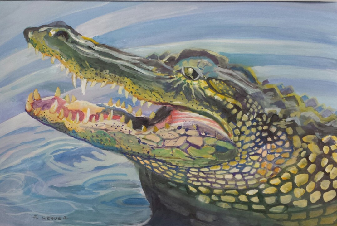 Florida Alligator Original Watercolor Painting Etsy