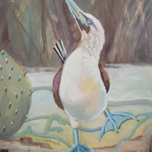 May include: A blue-footed booby bird with a white body and a long, thin beak. The bird is standing on a brown surface with a green plant in the background. The bird's feet are a bright blue color.