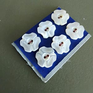 以下が含まれることがあります： 光沢のある仕上げの白い花形のボタン6個セット。各ボタンには中央に2つの穴があり、暗い色の糸でつながっています。ボタンは、白い縁取りのある長方形の青い台紙の上に、3つずつ2列に並べられています。