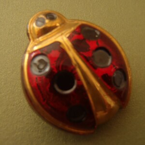 May include: A gold and red ladybug pin with black spots. The ladybug is made of metal and has a shiny finish.