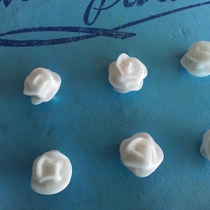 May include: Seven white ceramic rose-shaped buttons on a blue background.