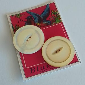 May include: Two vintage, round, off-white buttons with four holes, resting on a red card with a bird illustration. The card reads "Blue Pearl Buttons" and has the number "16" in the corner.