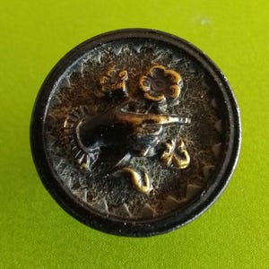 Könnte beinhalten: Ein runder Knopf im antiken Stil mit einem dunklen, strukturierten Hintergrund. Der Knopf zeigt ein detailliertes Design einer Hand, die eine Waffe hält, mit floralen Akzenten in Gold- und Bronzetönen. Der Rand des Knopfes ist dunkler und kontrastreicher.