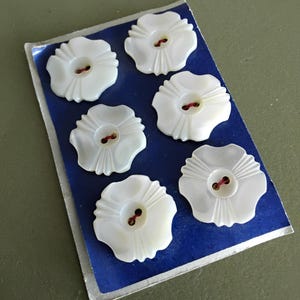 May include: A set of six white, flower-shaped buttons with a glossy finish and radial grooved detailing. Each button features two central holes and is attached to a rectangular blue card with thin red thread, arranged in a staggered pattern.