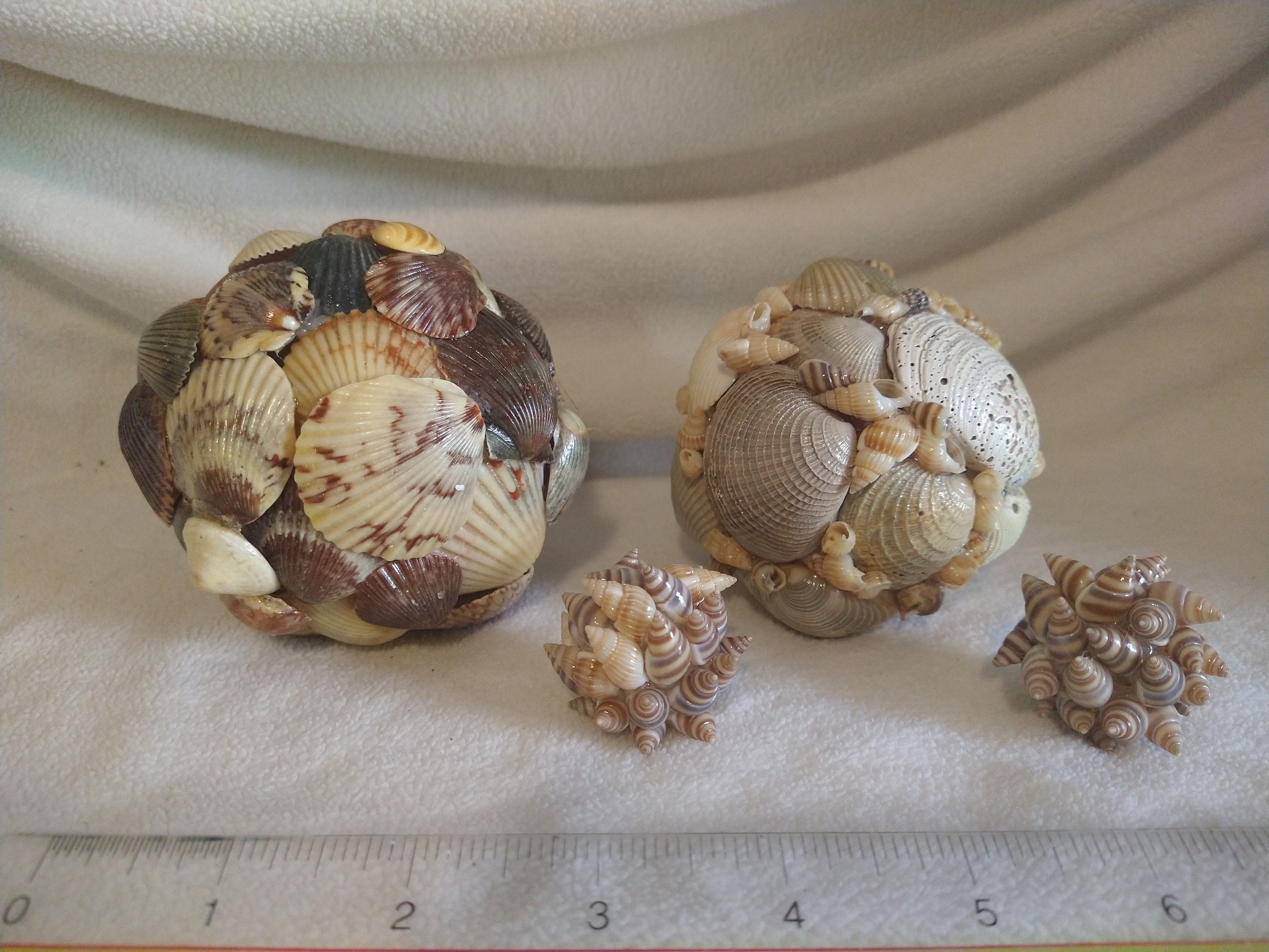 Set of 8 Decorative Shell Orbs Etsy