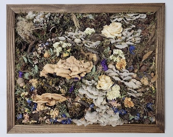Original Mixed Media Nature Art on Canvas – Preserved Fungi, Dried Flowers, Moss & Wood, Framed