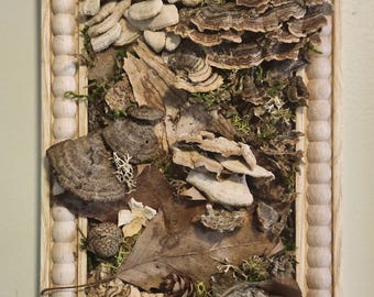 Mushroom Wall Art Nature Tile, 6 x 9 inch, Mushroom & Fungus Art, Moss Lichen Botanical Decor, Woodland Wall, Rustic Cottagecore