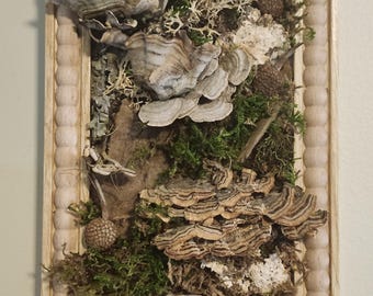 Mushroom Wall Art Nature Tile, 6 x 9 inch, Mushroom & Fungus Art, Moss Lichen Botanical Decor, Woodland Wall, Rustic Cottagecore