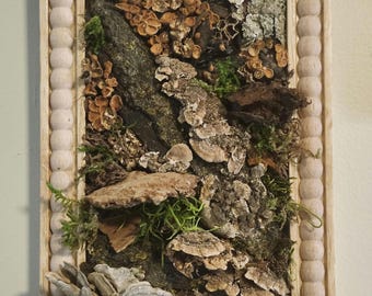 Mushroom Wall Art Nature Tile, 6 x 9 inch, Mushroom & Fungus Art, Moss Lichen Botanical Decor, Woodland Wall, Rustic Cottagecore
