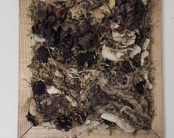 Fungi Wall Art | One-of-a-Kind Mixed Media with Wood Frame