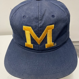 Rare Vintage Michigan  Wolverines hat, SPORT SPECIALTIES Hat, abstract, sportswear, for sport, Youngan snapback( 1210)