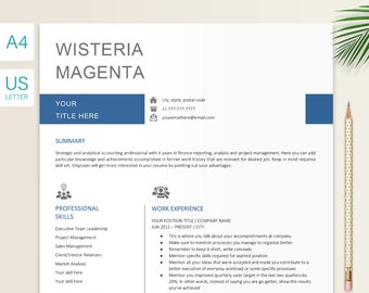 Online Lebenslauf Vorlagen Kostenlos Adobe Spark