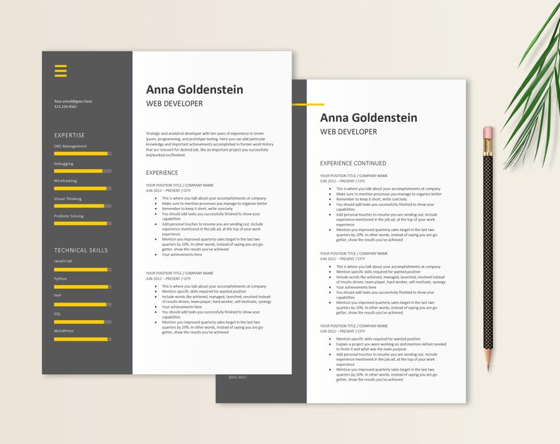 developer-resume-template-software-engineer-resume-web-developer-cv