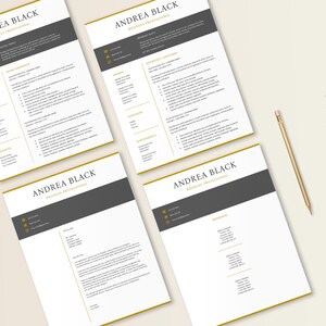 May include: Four pages of a professional resume with a gold border and gray accents. The resume is for Andrea Black, Business Professional. The resume includes sections for work experience, skills, education, and references.