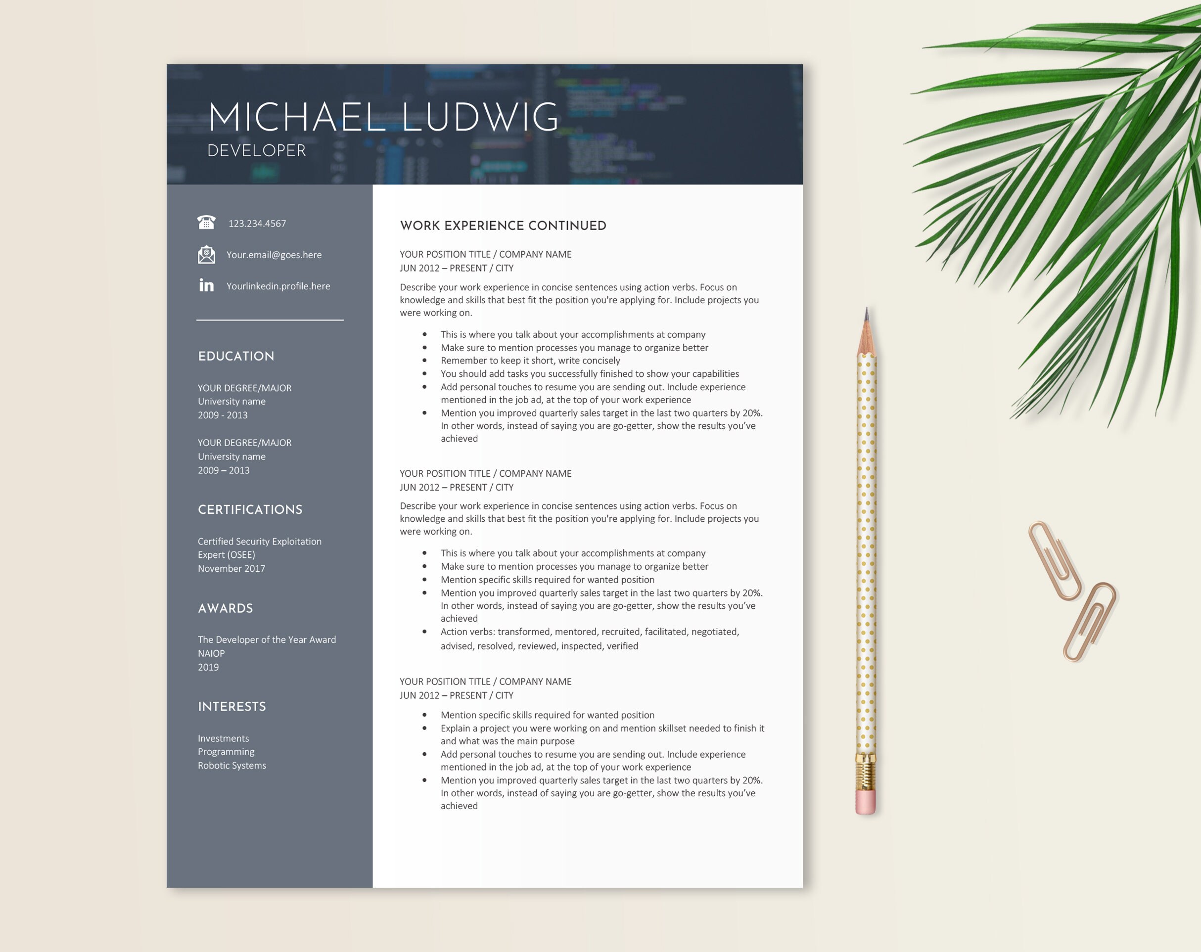 Web Developer Resume Template Software Engineer Resume Web - Etsy UK