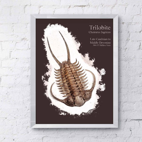 Trilobite instant printable, gift for science fan, instant gift for geek, printable fossil, wall art instantly, science and nature art