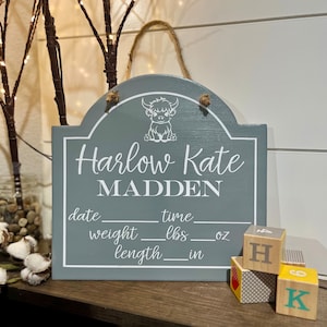 Highland Cow Baby Door Hanger/Hospital/Flowers/Girl/Nursery Decor/Rectangle Sign/Baby Shower/Birth Stats/Welcome Baby/Custom Colors