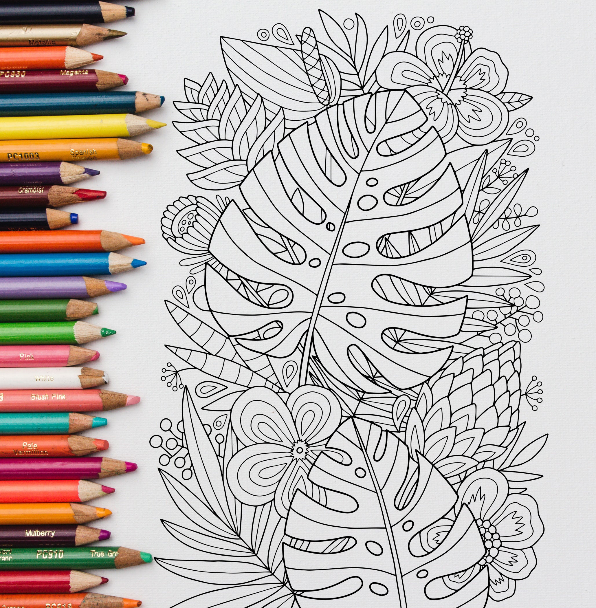 Adult Coloring Page Monstera Tropics Doodle Art DIY Etsy