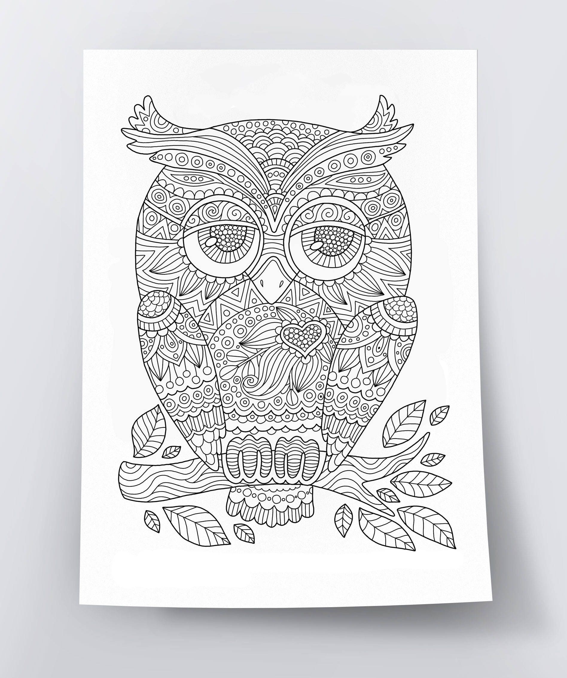 Adult Coloring Page Cute Owl Doodle Art DIY Coloring Etsy