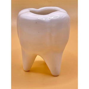 White Ceramic Tooth Shaped Organizer Quirky Dental planter/container