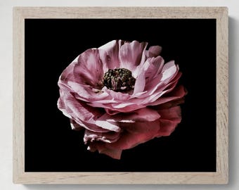 Roze Ranunculus-bloemenprint ~ Sfeervolle bloemenmuurkunst ~ Digitale download door Nadia Culph