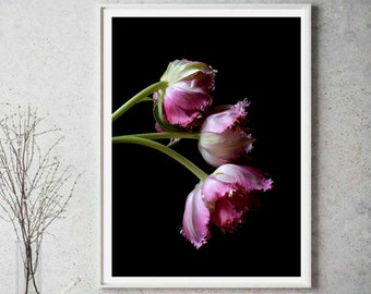 Downloadable Pink Tulip Flower Print ~ Printable Floral Wall Art ~ Digital Download