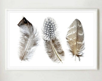 Feather Fine Art | Etsy