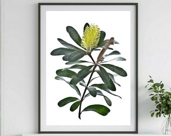 Printable Australian Flower Wall Art ~ Downloadable Yellow Banksia Photography Print ~ Digital Download