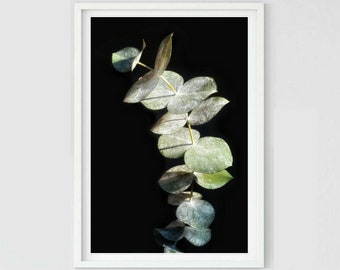 Downloadable Gum Leaves Print ~ Printable Australian Plant Photography ~ Black & Green Botanical Artwork ~ Digital Download