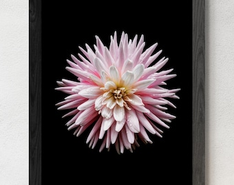 Afdrukbaar kunstwerk roze dahlia ~ Grote bloem fotografie-print ~ Floral Wall Art ~ Digitale download door Nadia Culph