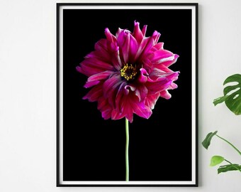 Printable Pink Dahlia Flower Art ~ Downloadable Floral Wall Decor ~ Moody Botanical Photography ~ Instant Digital Download