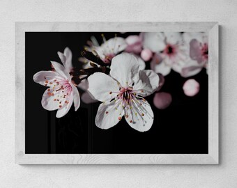Cherry blossom downloadable print ~ Spring floral wall art ~ Digital download by Nadia Culph