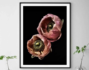 Printable Ranunculus Flower Art ~ Downloadable Floral Photography Print ~ Digital Download